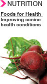 Enews_foods_for_health