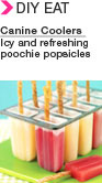 eNews-poochie-popsicles